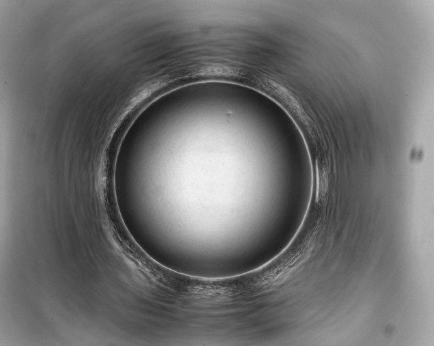 X0000099410435200805161025
