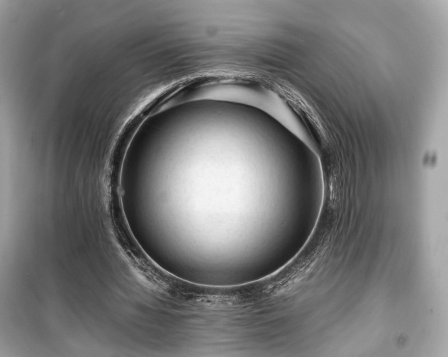 X0000099410436200805161025
