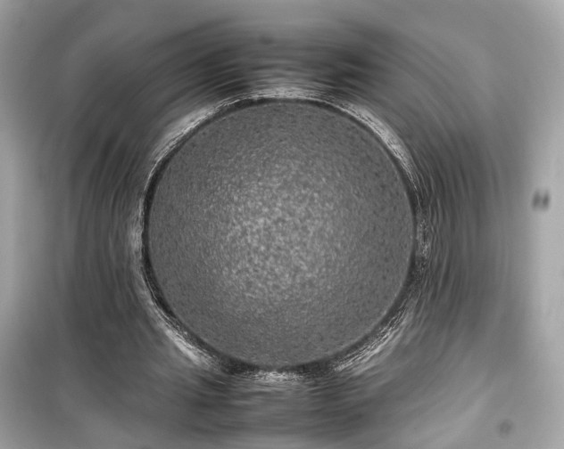 X0000099410437200805161025