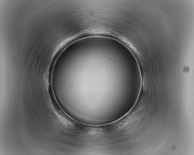 X0000099410438200805161025