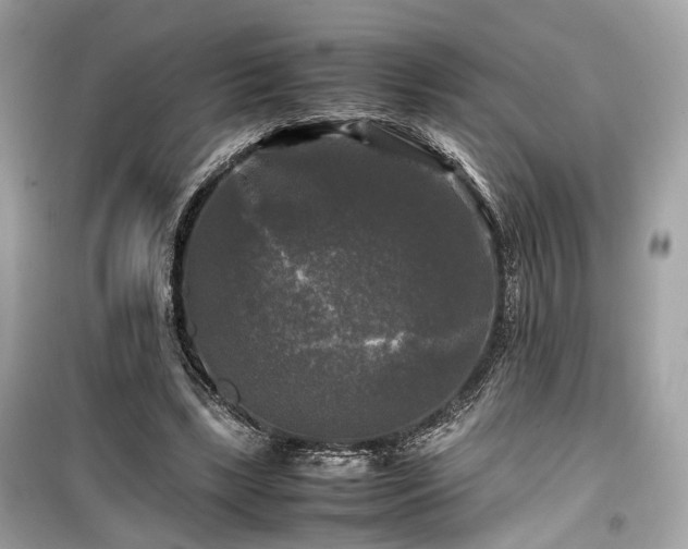 X0000099410443200805161025
