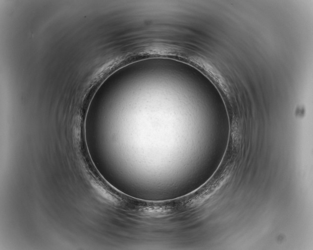 X0000099410445200805161025