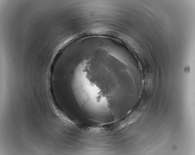 X0000099410446200805161025