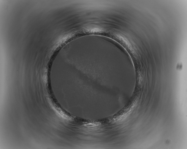 X0000099410447200805161025
