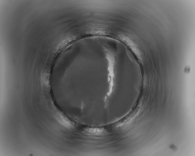 X0000099410449200805161025