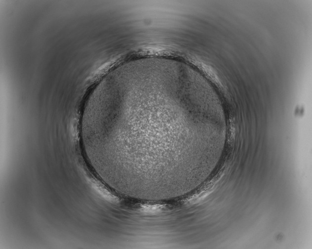 X0000099410450200805161025
