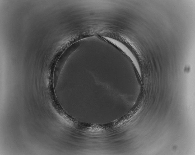 X0000099410451200805161025