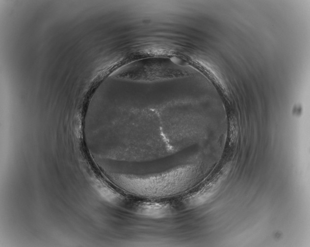 X0000099410453200805161025