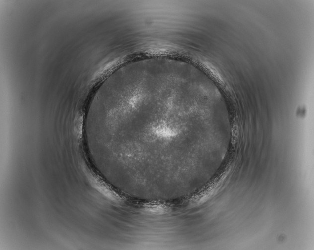 X0000099410454200805161025