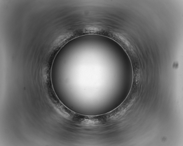 X0000099410455200805161025