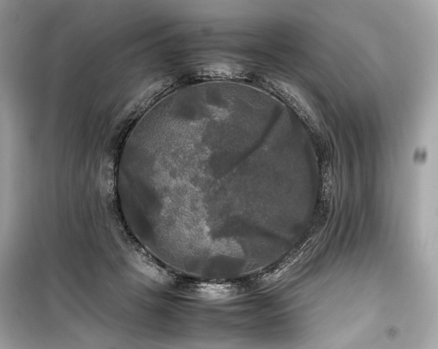 X0000099410457200805161026