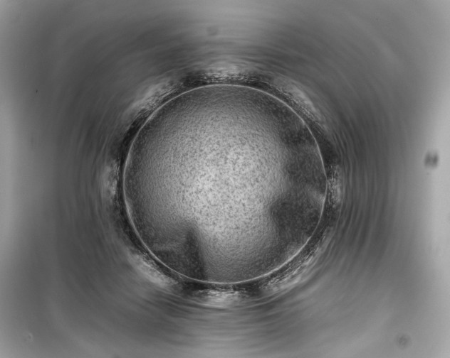 X0000099410458200805161026
