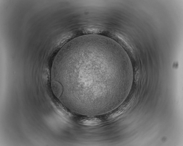 X0000099410459200805161026
