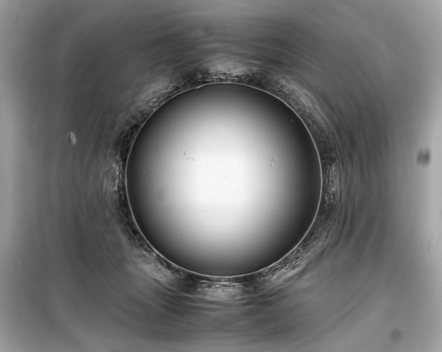 X0000099410463200805161026