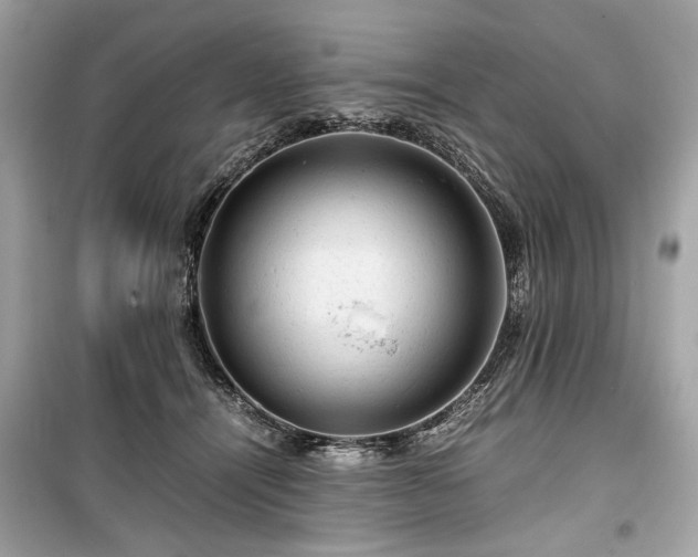 X0000099410464200805161026