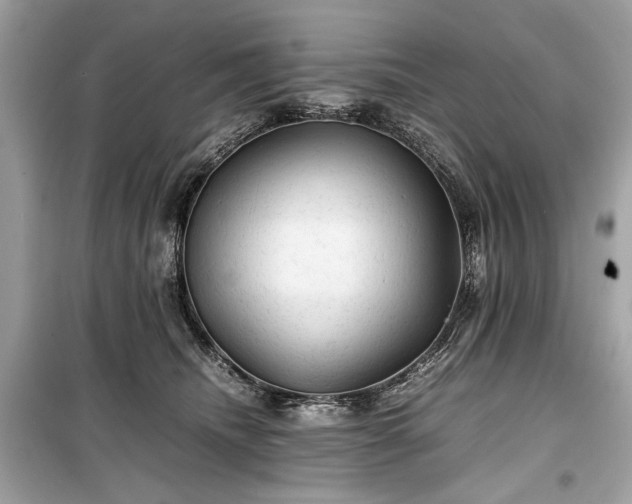 X0000099410468200805161026