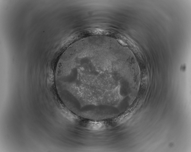 X0000099410469200805161026