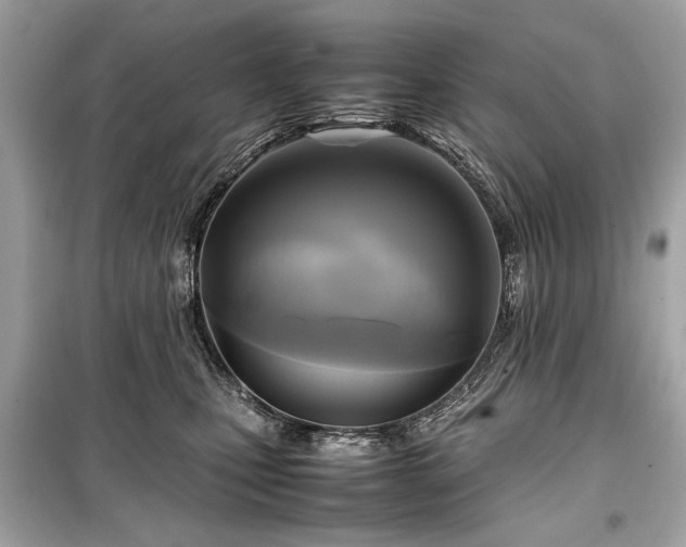 X0000099410471200805161026