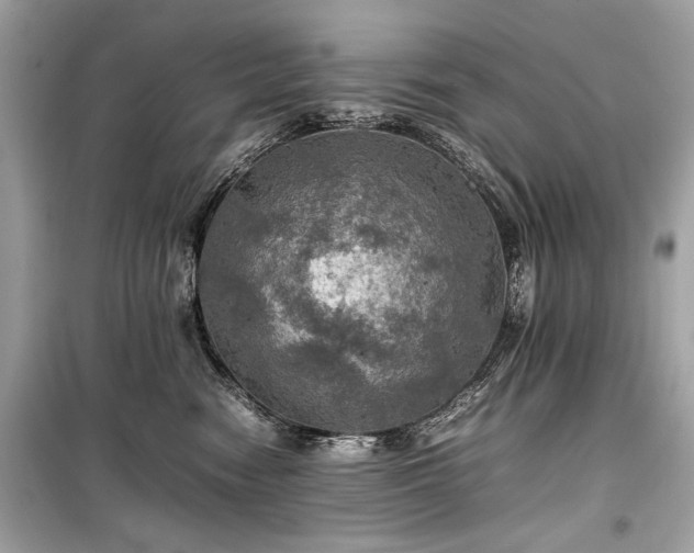 X0000099410474200805161026