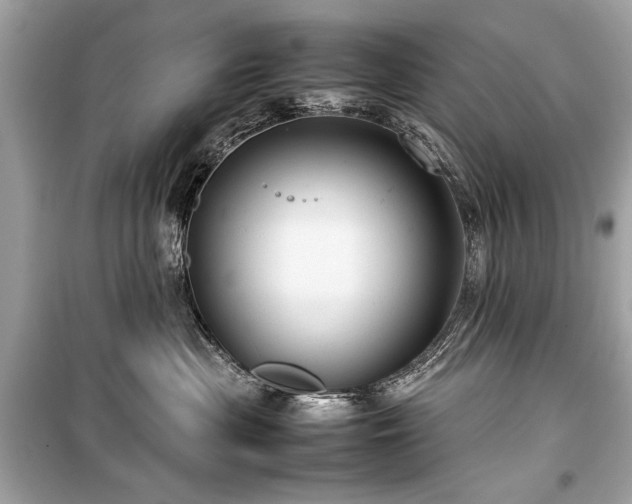 X0000099410477200805161026