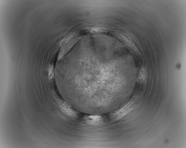 X0000099410478200805161026