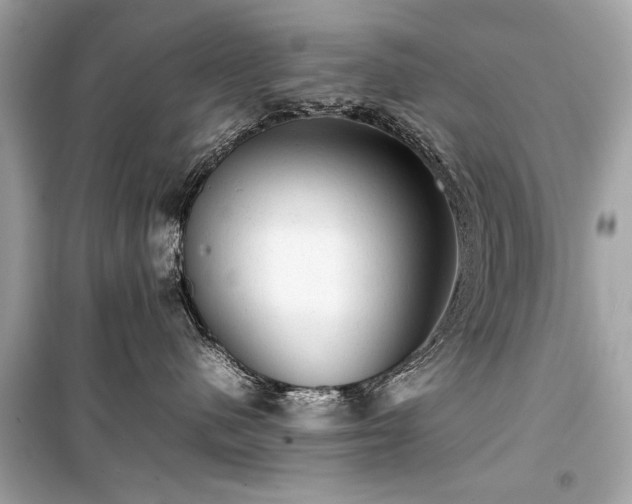 X0000099410480200805161026
