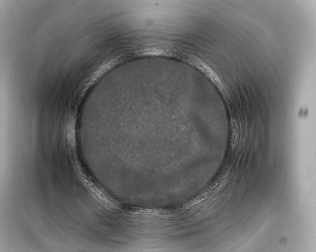X0000099410482200805161025