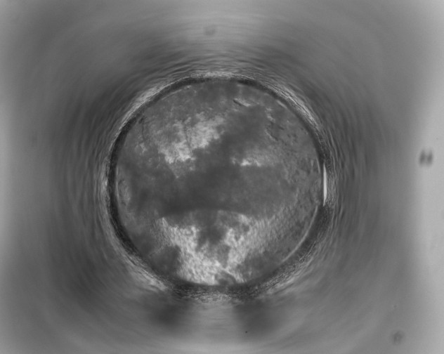 X0000099410483200805161025