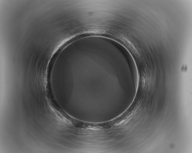 X0000099410484200805161025