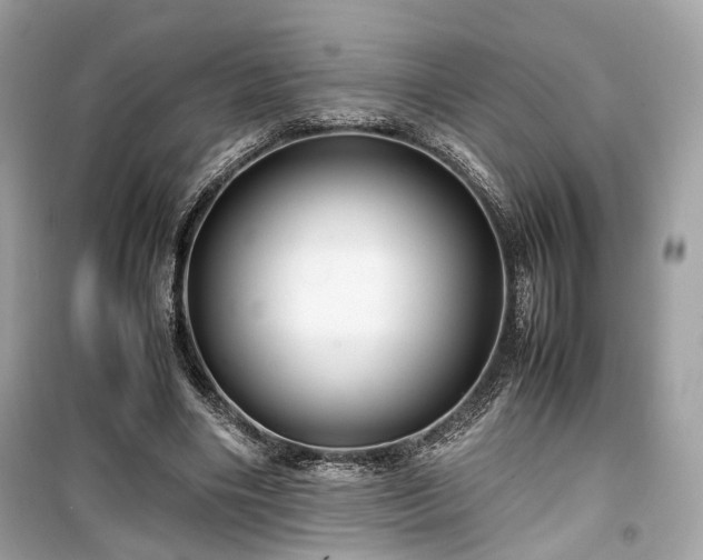 X0000099410490200805161025