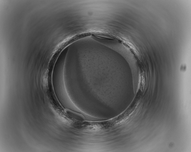 X0000099410492200805161025