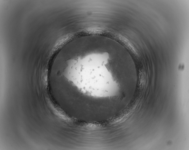 X0000099410494200805161025