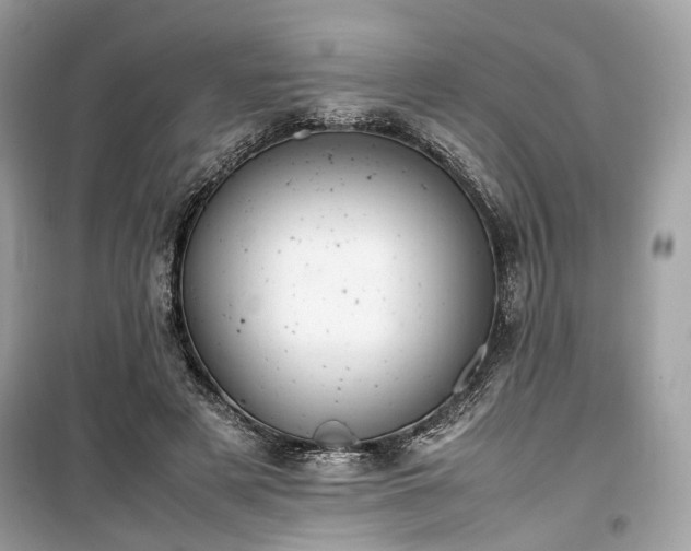 X0000099410497200805161025