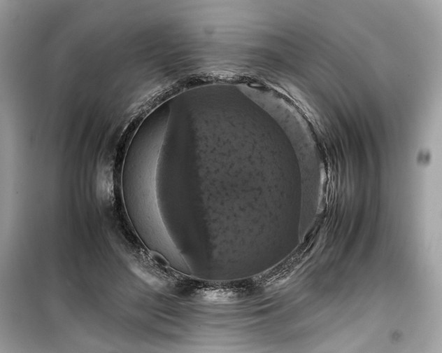 X0000099410500200805161025