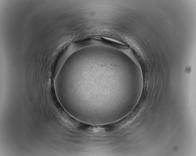 X0000099410501200805161025