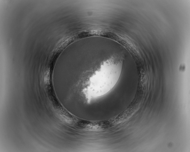 X0000099410502200805161025