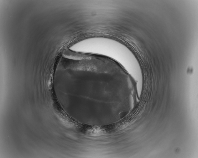 X0000099410503200805161025