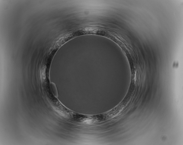 X0000099410504200805161025
