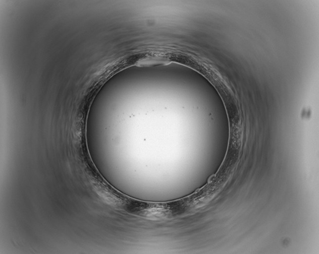 X0000099410505200805161025