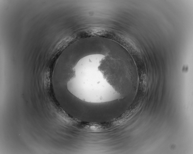X0000099410506200805161025