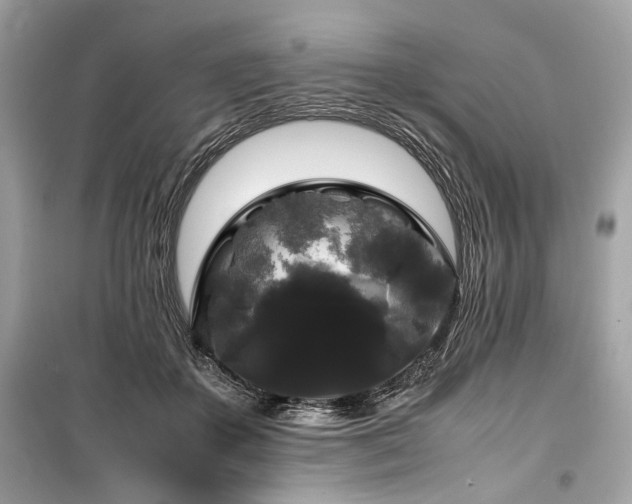 X0000099410507200805161025