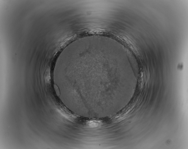 X0000099410508200805161025