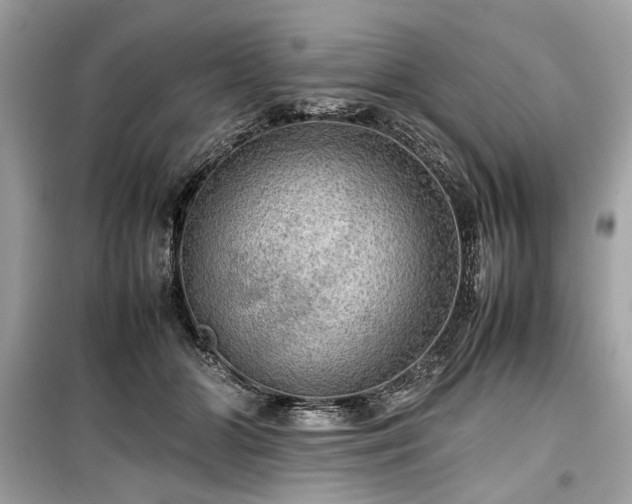 X0000099410510200805161025