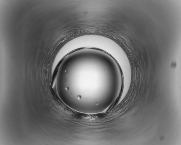 X0000099410511200805161025