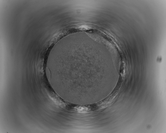 X0000099410512200805161025
