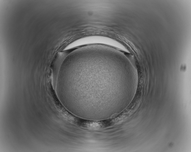 X0000099410513200805161025