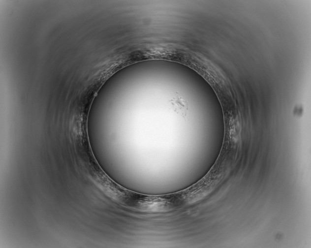 X0000099410514200805161025