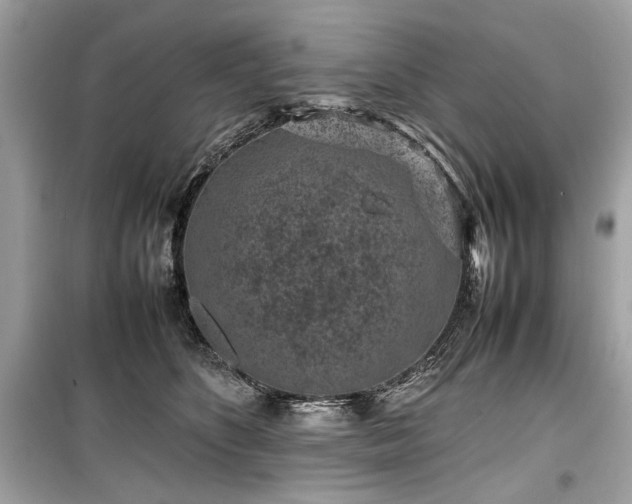X0000099410516200805161024