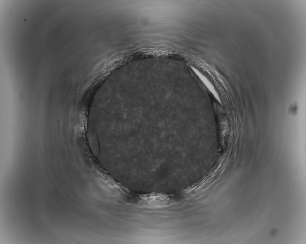 X0000099410517200805161024