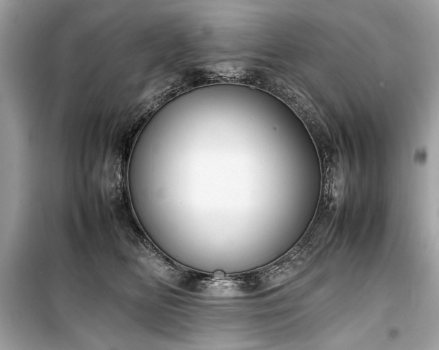 X0000099410518200805161024